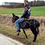Robert Strohmeyer - @strohmeyerrobert - Instagram