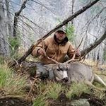 Robert Stromberg - @strombergrobert - Instagram