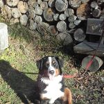 Robert Stromberger - @robertstromberger - Instagram