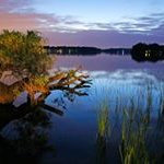 Robert Strube - @robertstrube - Instagram