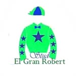 El Gran Robert - @stud_elgranrobert - Instagram
