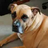 Robert Miller [STUDE - @robdarober - TikTok