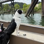Robert Studer - Facebook
