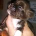 Bob Stufflebean - Facebook