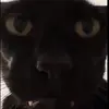 DOT - @robertsturdy2 - TikTok