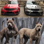 Robert Suggs - @robert.suggs.16 - Instagram