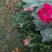 Bob Suhr - Facebook