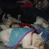 Robert Swindell - @robert.swindell0 - TikTok
