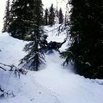 Robert Sundin - @sundinrobert - Instagram