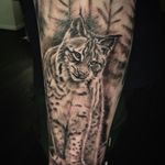Robert Sundin - @iambird75 - Instagram