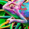 Robert Surma - @robert.surma - TikTok