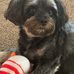 Robert Swails - Facebook