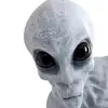 robertwenstrom - @robert.wenstrom - TikTok