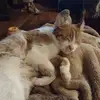 robertswartz717 - @robertswartz717 - TikTok