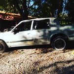 Robert Sypolt - @robert.sypolt.566 - Instagram