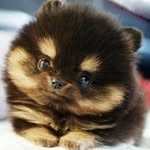 Robert Szeliga - @robertszeliga6910 - Instagram