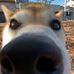 Robert Szeliga - Facebook