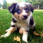 Robert Talaska - @roberttalaska - Instagram