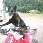 Robert Talbot - @rtalbot379 - Instagram