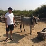 Robert Talbot - @roberttalbot66 - Instagram