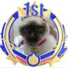 Robert Talbot - @robert.talbot60 - TikTok