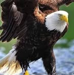Robert Tanega - Facebook