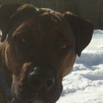 Robert Tarasuk - @roberttarasuk - Instagram