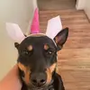 robertate_ - @robertate_ - TikTok