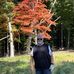 Bob Tattersall - Facebook