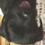 Robert - @robert_tattersall123 - Instagram