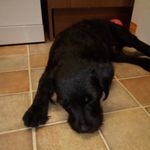 robert tattersall - @tattersallrobert77 - Instagram