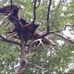 Rob M Teachout - Facebook