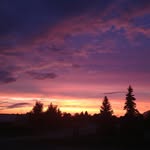 Robert Tempest - @tempest.robert - Instagram