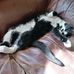 Robert Templeman - Facebook