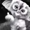 robertterhorst8 - @robertterhorst8 - TikTok