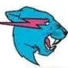 @mrbeast - @markrobertthu.thach - TikTok