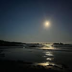 Robert Tham - @chinduism - Instagram