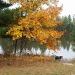 Robert Theiner - @roberttheiner - Instagram