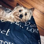 Robert Theodore Lauterbach - @roberttheodorelauterbach - Instagram