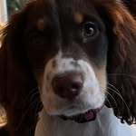 Robert Thill - @robertdt68 - Instagram