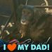 Robert Tholl - Facebook