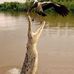 Robert Thomas - Facebook