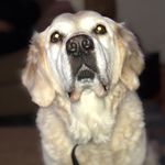 Robert Thorén - @robert_thoren_ - Instagram
