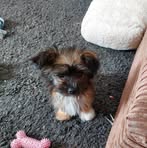 Robert Thorley - Facebook