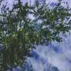 RobertThrasher2274 - @robertthrasher2274 - TikTok