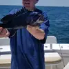 robert thorp - @robert.thorp3 - TikTok