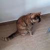 Robert Thunus682 - @robertthunus682 - TikTok