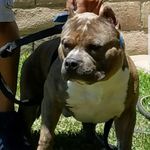 Robert Timko - @robett43 - Instagram