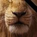 Robert Timms - Facebook