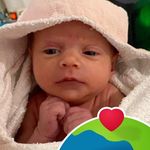 Robert Timms - @robert.timms.9 - Instagram